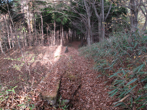 20171116hike (250)